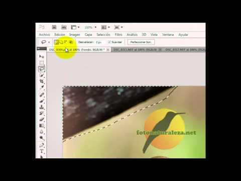 Rellenar segun contenido