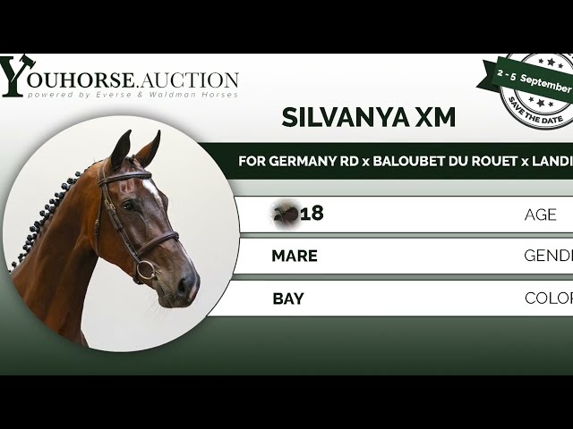 Silvanya XM