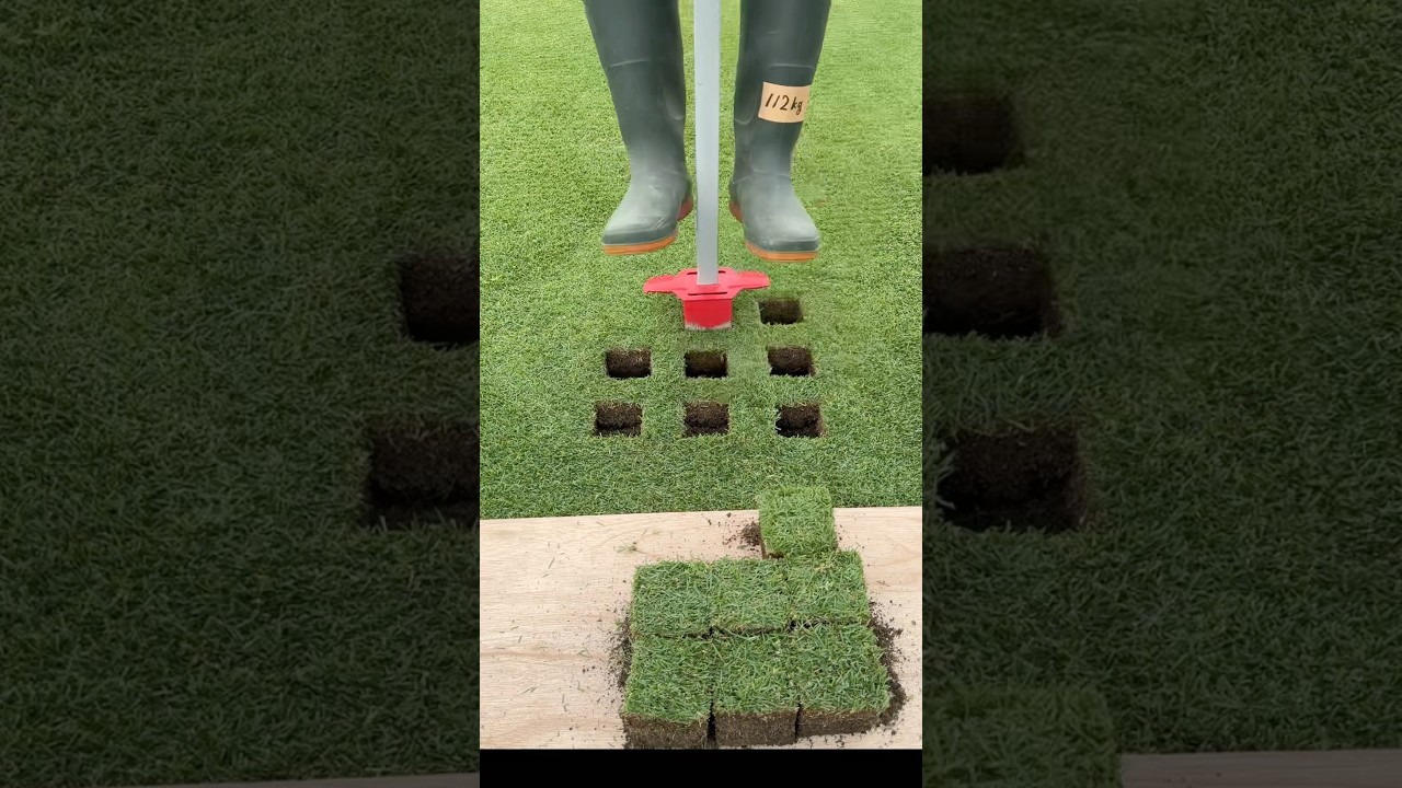 枯れた芝生の簡単な補修方法