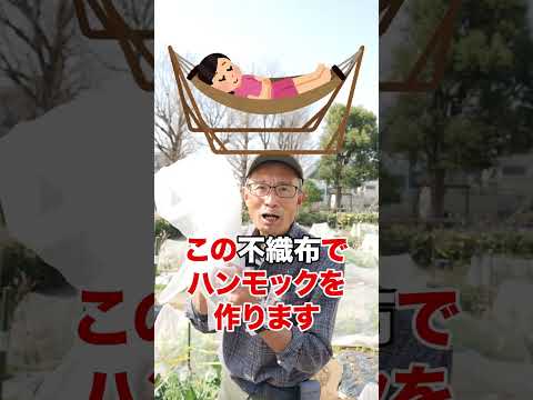 庭で育てるのに最適なイチゴの品種は何ですか?  庭園