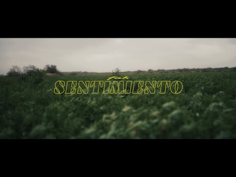 Fak - Sentimiento (Film by @tobiasbergese) 🦊