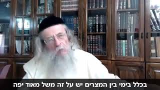 פנימיות הגלות חלק ד'  שבת חזון - הרב מענדל ווכטר שנת תש"פ