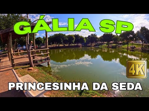 GALIA SP  -  PRINCESINHA DA SEDA