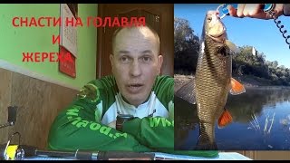 Ссылка