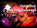 Live Trumpet Improv on 'Ophir Dub' by Dub Colossus