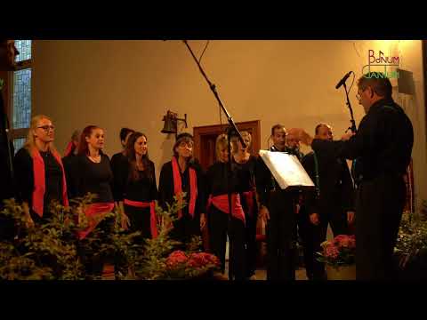 BONUM CANTUM - Viva la Vida