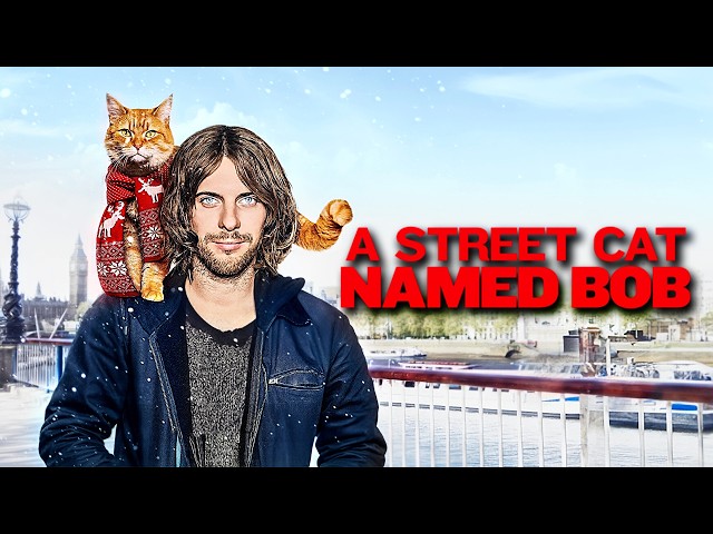Vídeo relacionado con A street cat named Bob: How one man and his cat found hope on the streets (Bob, 1)