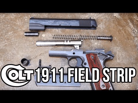 Colt 1911 Field Strip