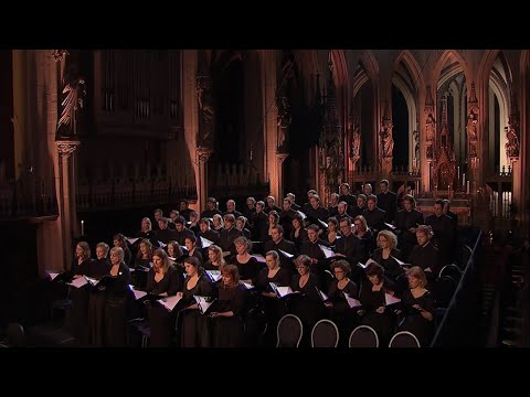 Barber - AGNUS DEI (arr. Adagio for Strings) - Laurens Symfonisch - LIVE