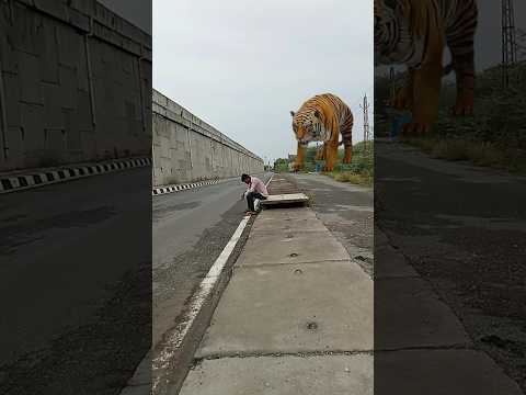 funny tiger VFX video