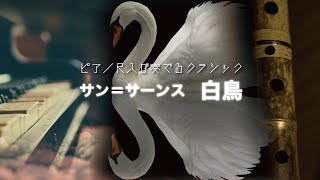 Download lagu 【和洋クラシック】サン=サーンス：白鳥 / Saint-Saëns: Le cygne (The Swan) mp3