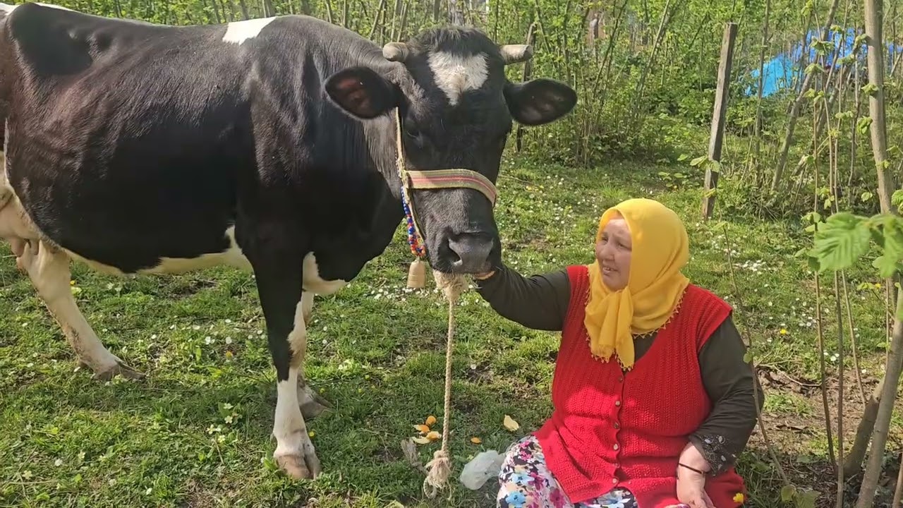 ‼️HERŞEYİN ZAMANI VAR ALLAH KİMSEYİ SEVDİKLERİNDEN AYRI KOYMASIN ‼️‼️