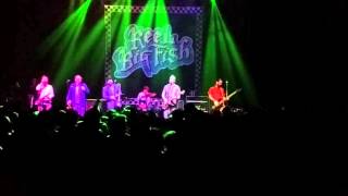 Reel Big Fish - Alternative Baby LIVE 2/6/16 @ Buffalo, NY
