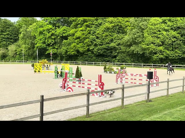 Jument amateur &eacute;lite 