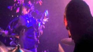 Apologies to Insect Life - Live Halloween 2010