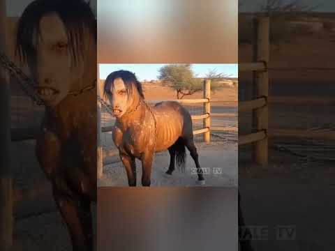 Don Toño le dio frijoles y ya no se fue extraña criatura #viral #humor #funny #horror #viralvideo