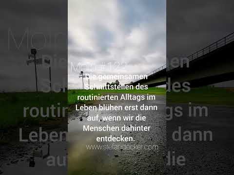 Moin 122 - Positive Impulse-Stefan Decker #shorts #ostfrieslandmusiker #foto #ostfriesland #mindset