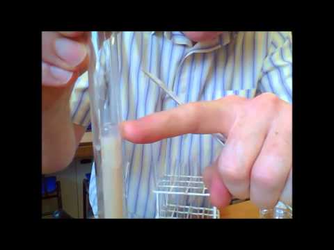 Anaerobic Respiration in Yeast