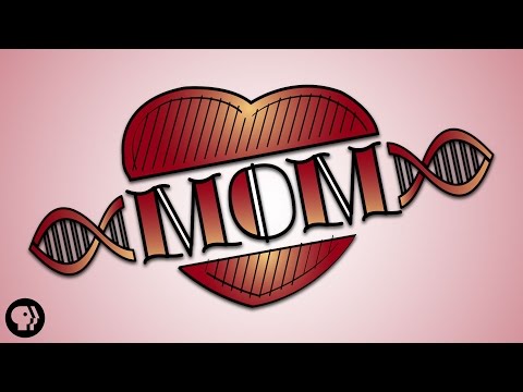 The Incredible Biological Connection We All Share With Our Mom Video