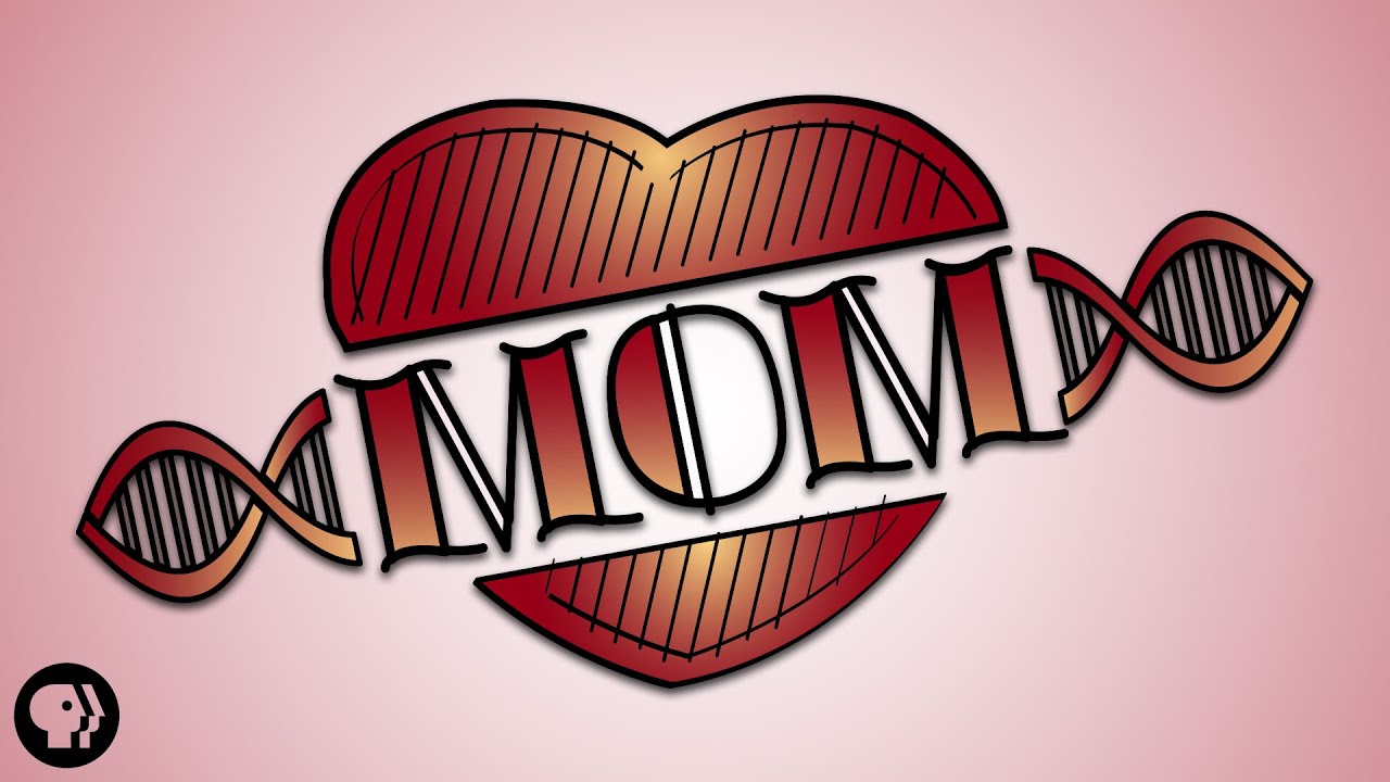 Putar video Apa Itu Anak Biologis sekarang Apa Itu Anak Biologis