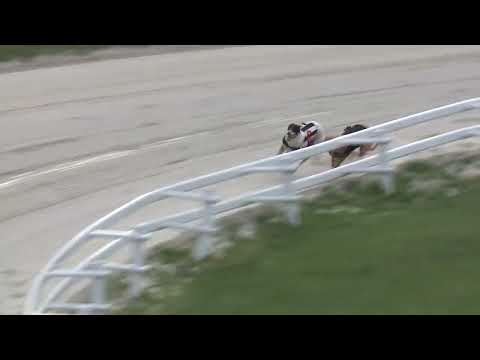 2023.06.23 7. FUTAM - KINCSEM PARK MAGYAR DERBY INVITATION ELŐDÖNTŐ I. FUTAM