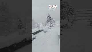 🇧🇬 Heavy April Snowfall Hits Bulgaria — Up to 40 cm of Snow and Fallen Trees
