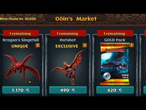 June Odin's Market - Dragons:Rise of Berk