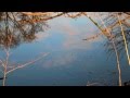 Pieds nus dans l'aube - JERONIMO - ZINZIN - 2013