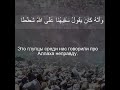 Коран Сура Аль Джинн | 72:4 | Чтение Корана с русским переводом| Quran Translation In Russian