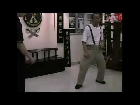 Wan Kam Leung Practical Wing chun (France) - Sifu Lee Teck Meng - Stance and mobility