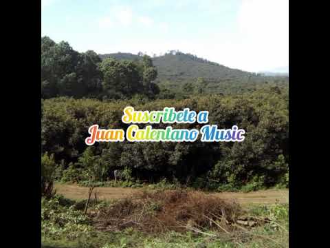 Mi Mayor anhelo - Cuerda Elegante (cover)