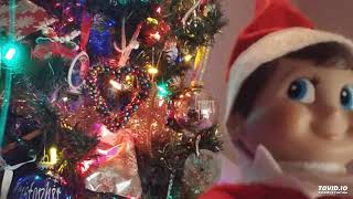 Candy Cane Lane by Grace