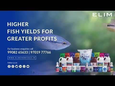 Benzalkonium Chloride 80%