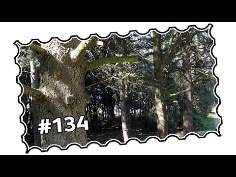 #134 - Serbia, Belgrade area - Labudovo brdo and Petlovo brdo (08/2014)