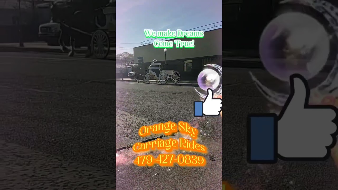 Promotional video thumbnail 3 for Orange Sky Carriage Rides LLC