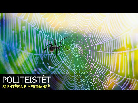 Politeistet - Pse shembulli i tyre eshte si shtepia e merimanges?
