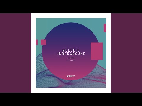 The Predicament (Original Mix)