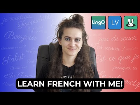LingQ vs Readlang vs Lingua Verbum | Reading Alice in Wonderland in French