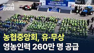 농협중앙회, 유·무상 영농인력 260만 명 공급 / 채널A / 뉴스A 라이브
