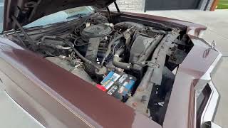 1978 Ford Thunderbird Start Up & Idle