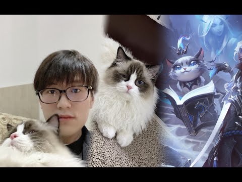 EDG Meiko - EDG Yuumi Real Life