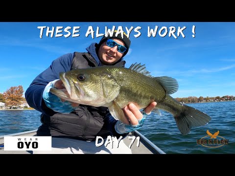 3 BASS FISHING PATTERNS That NEVER FAIL (Guaranteed Catches!)