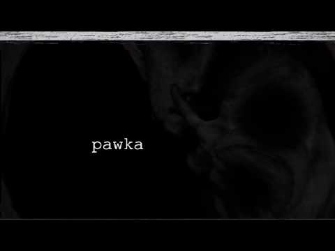 #hot16challenge2 - pawka olz