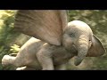 Dumbo 2019 BEST SCENES Part 3 Disney Animation 2019 1080p