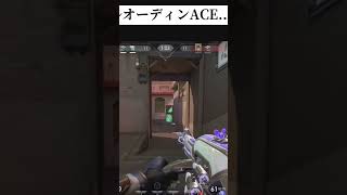 6キルオーディンACE…。ちゃんと相手がオーディン出してから出し始めましたよ！！！！w…暴走してごめんなさいw #valorant  #shorts  #valorantclips