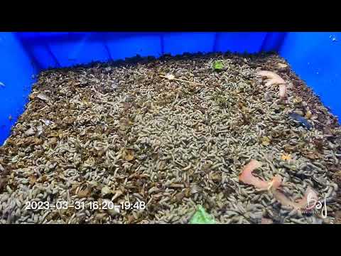 2023 03 31 Refreshment