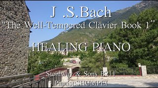 Download lagu 【癒し,作業用BGM】J.S.バッハ「平均律クラヴィーア曲集　第１巻」　J.S.Bach  The Well-Tempered Clavier Book1　SHUMPEI演奏 mp3