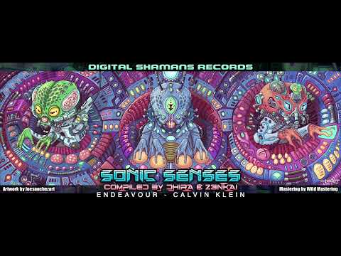 ENDEAVOUR - Calvin Klein (VA Sonic Senses by Z3nkai & Dhira CD2)