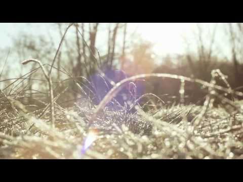 Spreewald: Ein Schweizer schwärmt
