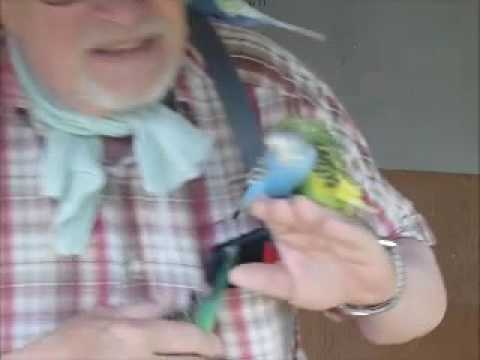 2017 07 11 Der Wellifluestererfilm des Tages